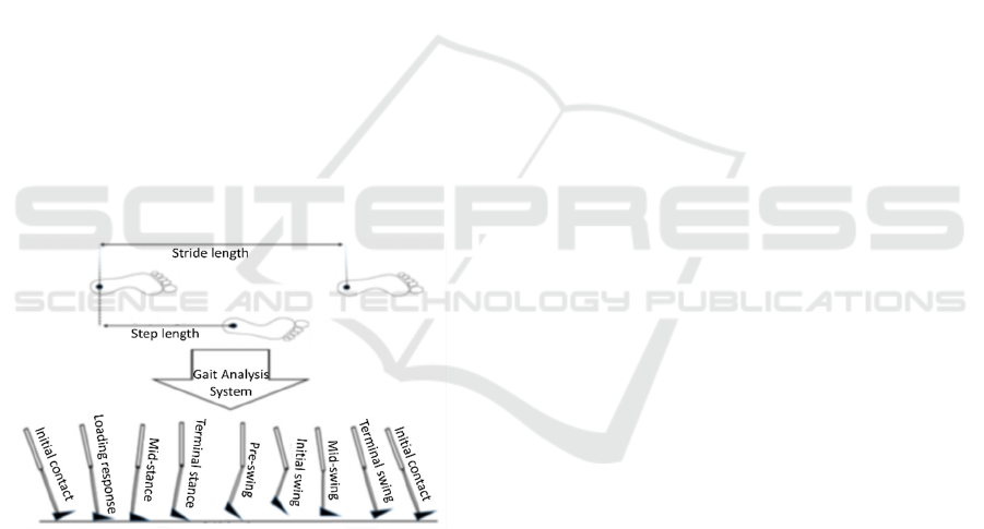 Using Amplitude Modulation For Extracting Gait Features